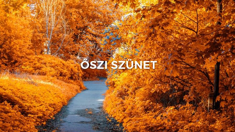 Poszter kép