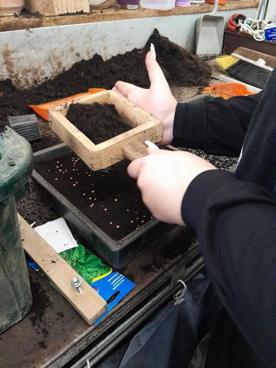 🌱 Szakmai konzultáció és próbavizsga a végzős kertész tanulóknak