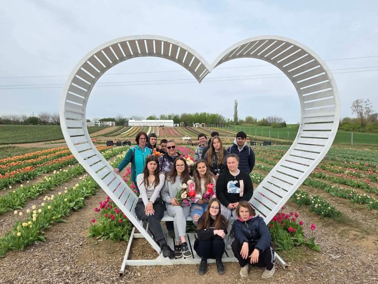 Szakmai kirándulás a Tulip Gardenben 🌷