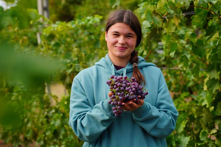 🍇 Kertész tanulóink nyitották meg az idei szüretet!🍇