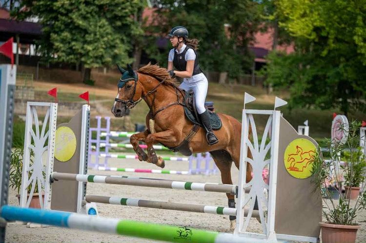 Daisy és Réka újabb sikere - Iskolánk lovas büszkesége 🐴