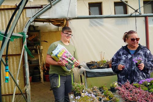 🌱 Szakmai konzultáció a végzős kertész tanulóknak 🪴