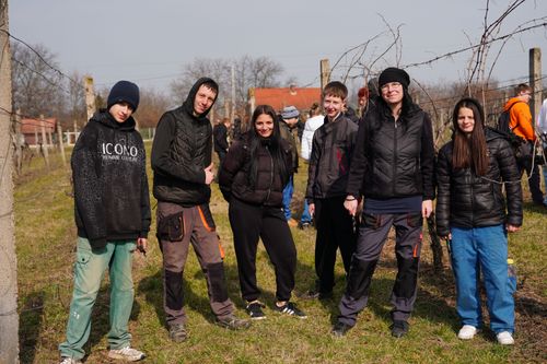 Szőlőmetszésen a tangazdaság diákjai 🍇✂️