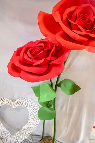 Farsang_0875 copy.jpg