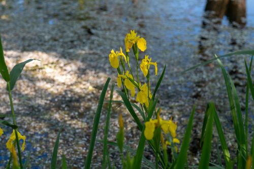 P_CS7327.jpg