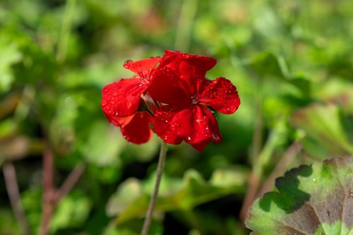 P_CS7417.jpg