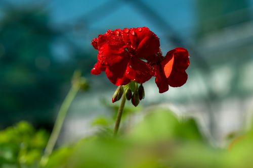 P_CS7419.jpg