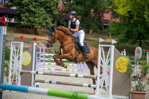 Daisy és Réka újabb sikere - Iskolánk lovas büszkesége 🐴